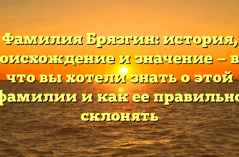 Фамилия Брязгин: история, происхождение и значение — все, что вы хотели знать о этой фамилии и как ее правильно склонять