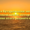 Фамилия Бутурлакина: исследуем происхождение, историю и значение этого редкого имени