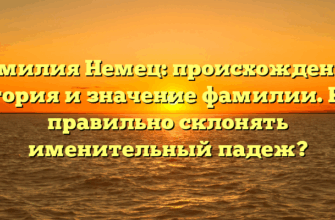 Фамилия Немец: происхождение, история и значение фамилии. Как правильно склонять именительный падеж?