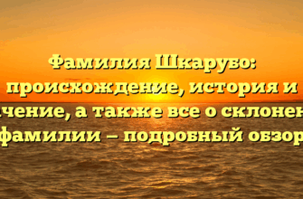Фамилия Шкарубо: происхождение, история и значение, а также все о склонении фамилии — подробный обзор