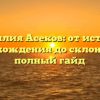 Фамилия Асеков: от истории происхождения до склонения — полный гайд