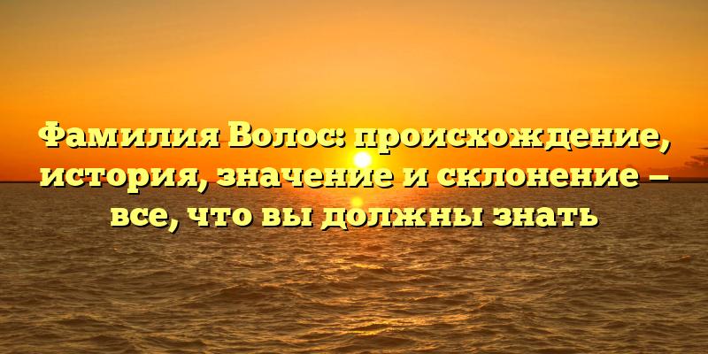Фамилия Волос: происхождение, история, значение и склонение — все, что вы должны знать