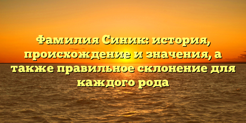 Фамилия Синик: история, происхождение и значения, а также правильное склонение для каждого рода