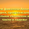 Изучаем фамилию Аппельман: история, происхождение и правильное склонение в роде, числе и падеже