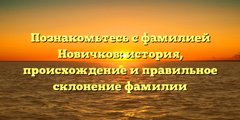 Познакомьтесь с фамилией Новичков: история, происхождение и правильное склонение фамилии