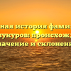Полная история фамилии Абдушукуров: происхождение, значение и склонение
