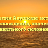 Фамилия Абушкин: история происхождения, значения и правильного склонения