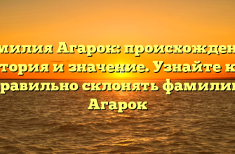 Фамилия Агарок: происхождение, история и значение. Узнайте как правильно склонять фамилию Агарок
