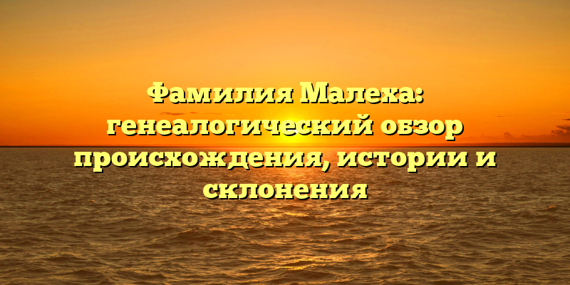 Фамилия Малеха: генеалогический обзор происхождения, истории и склонения
