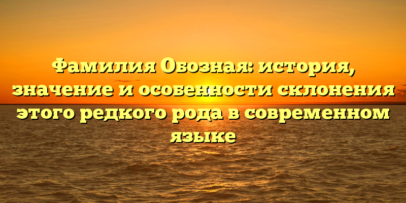 Фамилия Обозная: история, значение и особенности склонения этого редкого рода в современном языке