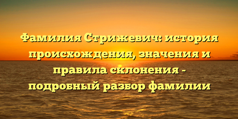 Фамилия Стрижевич: история происхождения, значения и правила склонения - подробный разбор фамилии