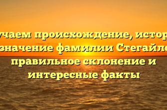 Изучаем происхождение, историю и значение фамилии Стегайлов: правильное склонение и интересные факты