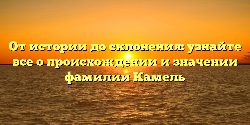 От истории до склонения: узнайте все о происхождении и значении фамилии Камель