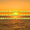 Фамилия Ангис: исследуем происхождение, значение и правильное склонение