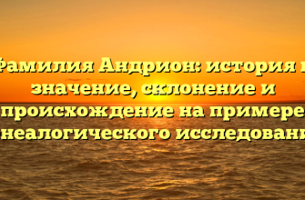 Фамилия Андрион: история и значение, склонение и происхождение на примере генеалогического исследования