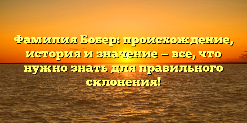 Фамилия Бобер: происхождение, история и значение — все, что нужно знать для правильного склонения!