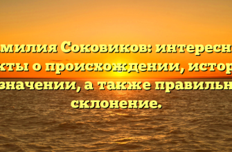 Фамилия Соковиков: интересные факты о происхождении, истории и значении, а также правильное склонение.