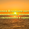 Фамилия Атнашев: история возникновения, значение и правила склонения в одной статье