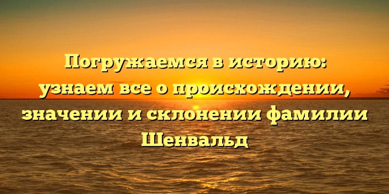Погружаемся в историю: узнаем все о происхождении, значении и склонении фамилии Шенвальд