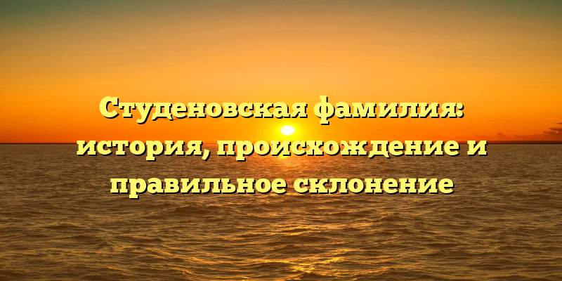 Студеновская фамилия: история, происхождение и правильное склонение