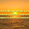 Фамилия Агамалов: история происхождения, значения и правильное склонение