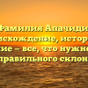Фамилия Апачиди: происхождение, история и значение — все, что нужно знать для правильного склонения