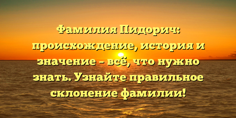 Фамилия Пидорич: происхождение, история и значение – всё, что нужно знать. Узнайте правильное склонение фамилии!