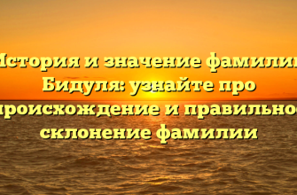 История и значение фамилии Бидуля: узнайте про происхождение и правильное склонение фамилии