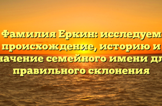 Фамилия Еркин: исследуем происхождение, историю и значение семейного имени для правильного склонения