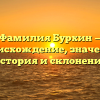 Фамилия Бурхин — происхождение, значение, история и склонение